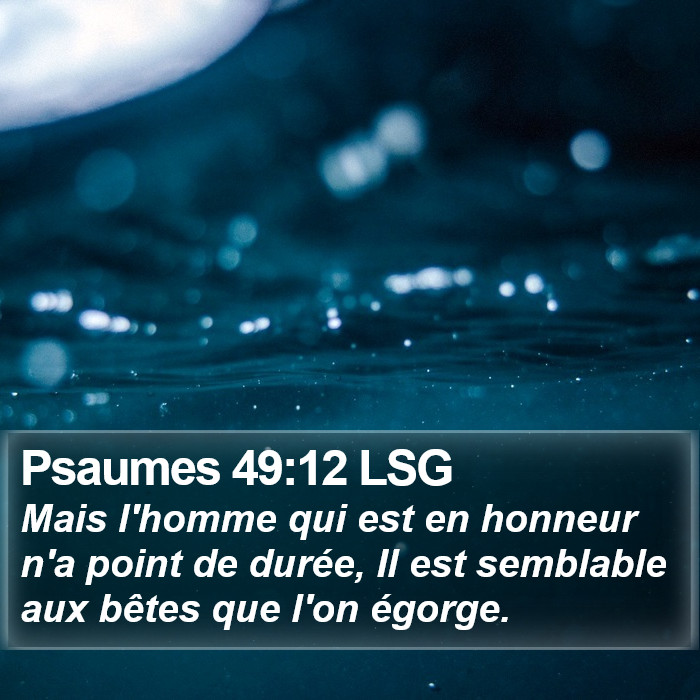 Psaumes 49:12 LSG Bible Study