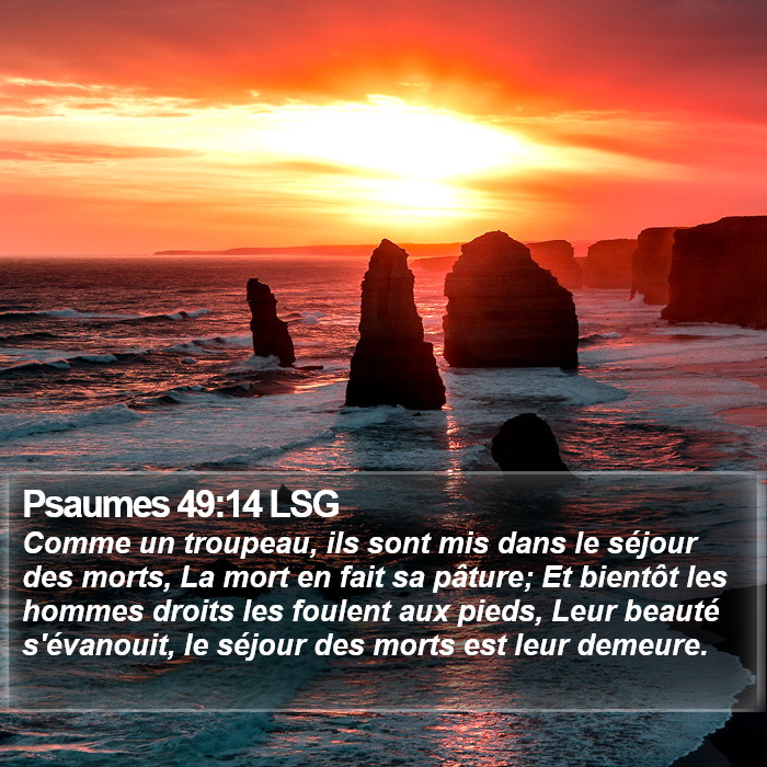 Psaumes 49:14 LSG Bible Study