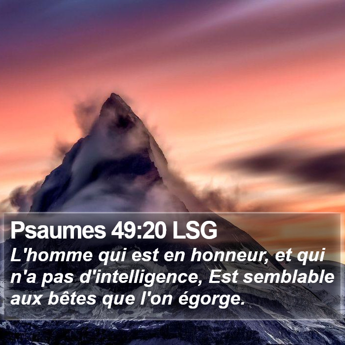 Psaumes 49:20 LSG Bible Study