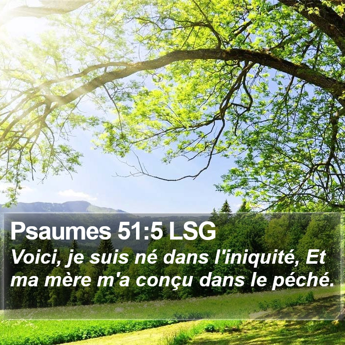 Psaumes 51:5 LSG Bible Study