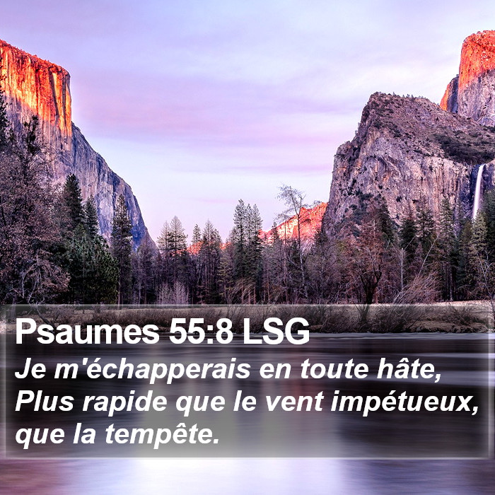 Psaumes 55:8 LSG Bible Study