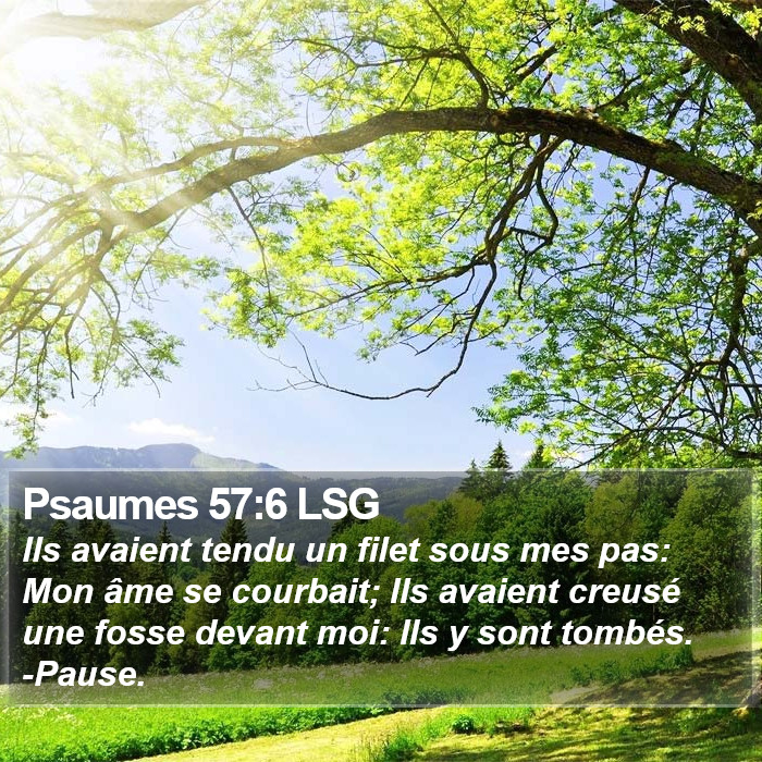 Psaumes 57:6 LSG Bible Study