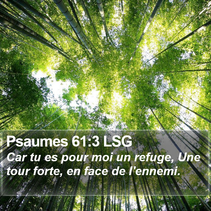 Psaumes 61:3 LSG Bible Study