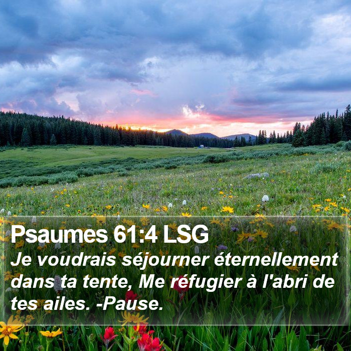 Psaumes 61:4 LSG Bible Study