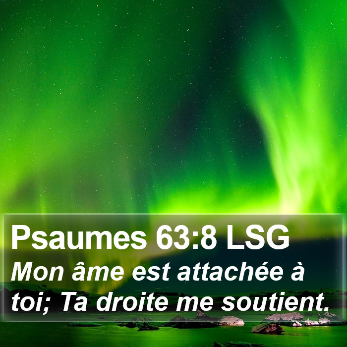 Psaumes 63:8 LSG Bible Study