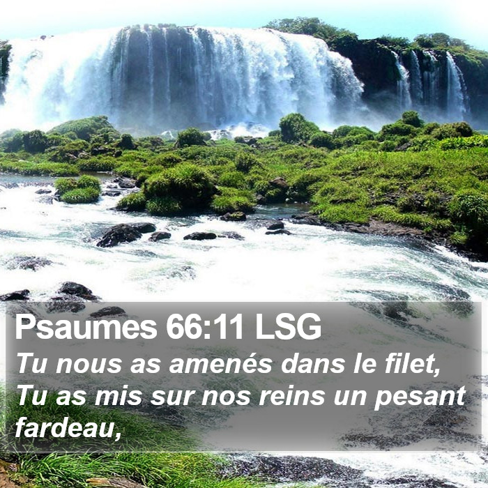 Psaumes 66:11 LSG Bible Study