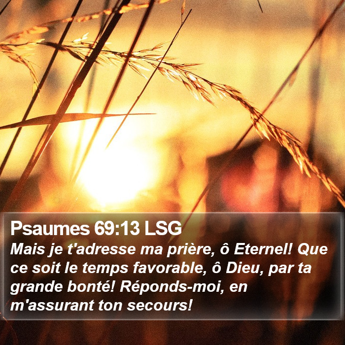 Psaumes 69:13 LSG Bible Study