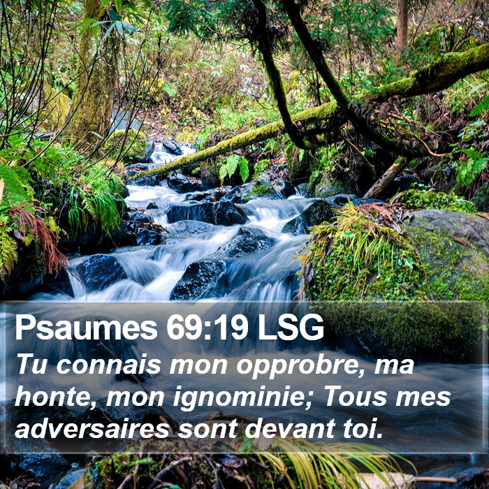 Psaumes 69:19 LSG Bible Study