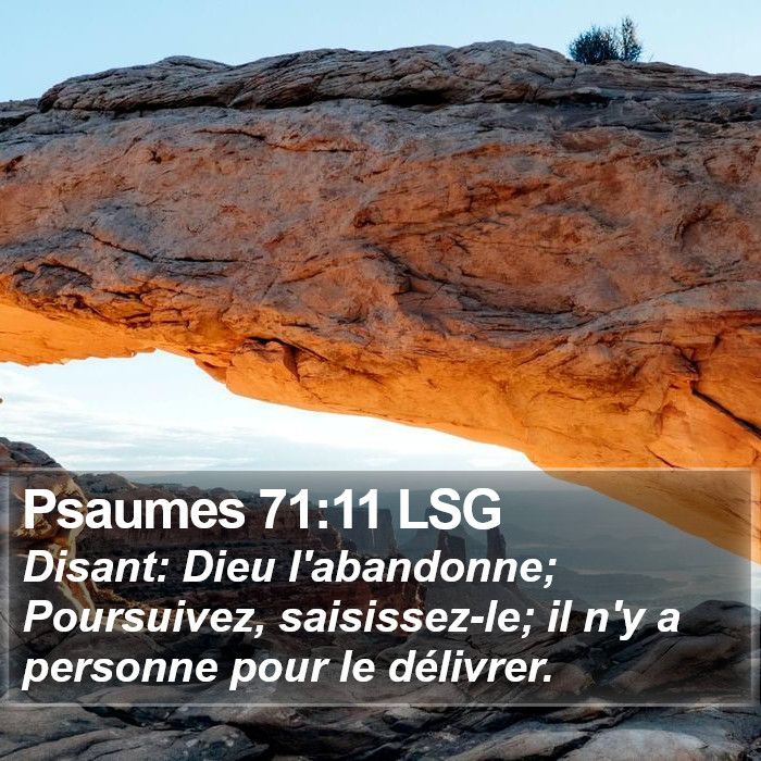 Psaumes 71:11 LSG Bible Study