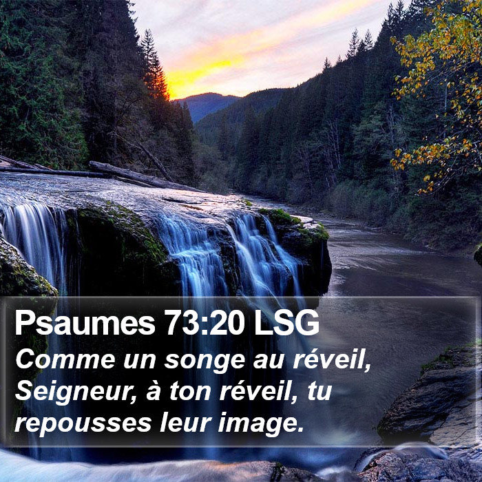 Psaumes 73:20 LSG Bible Study