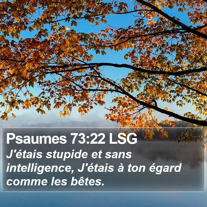 Psaumes 73:22 LSG Bible Study