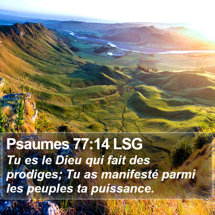 Psaumes 77:14 LSG Bible Study