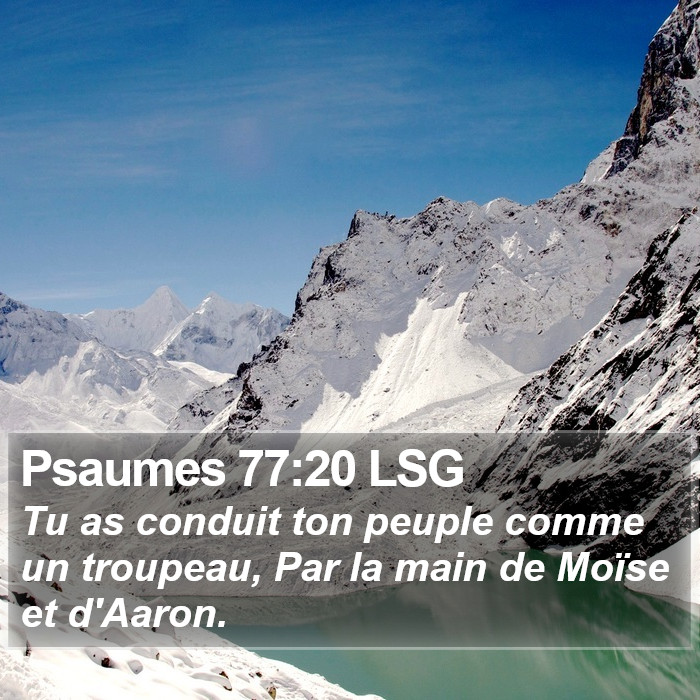 Psaumes 77:20 LSG Bible Study