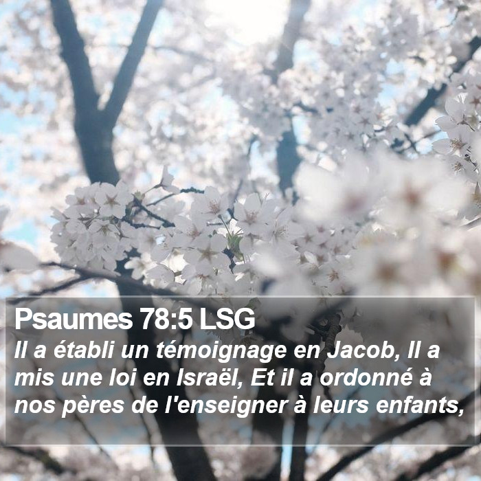 Psaumes 78:5 LSG Bible Study