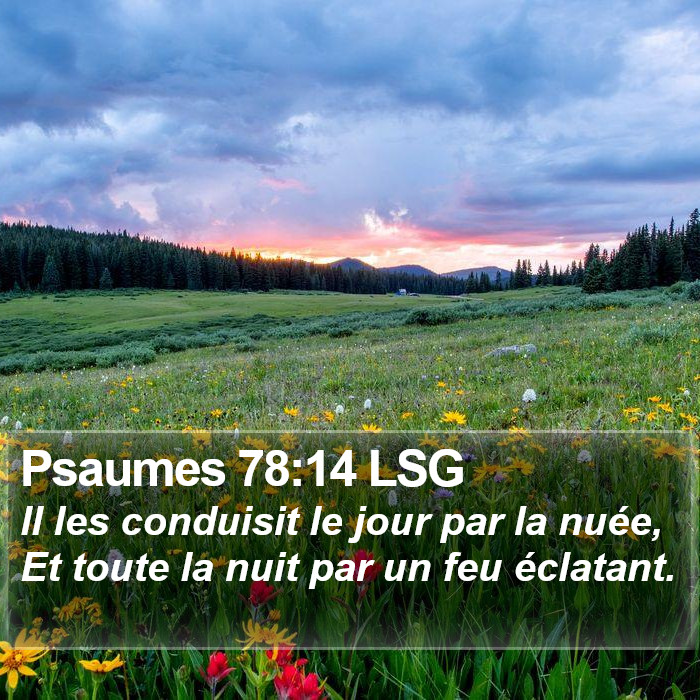 Psaumes 78:14 LSG Bible Study