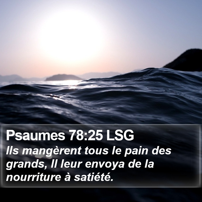 Psaumes 78:25 LSG Bible Study