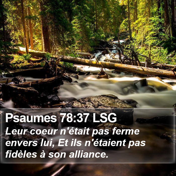 Psaumes 78:37 LSG Bible Study