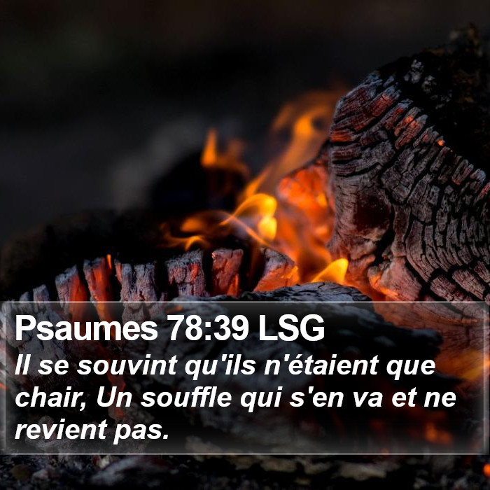 Psaumes 78:39 LSG Bible Study