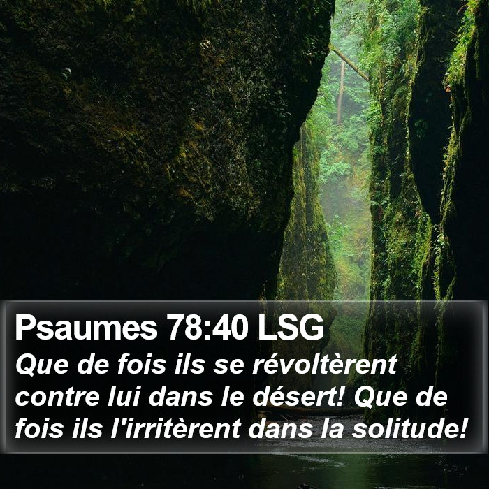 Psaumes 78:40 LSG Bible Study