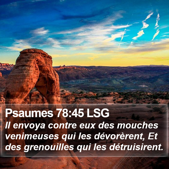 Psaumes 78:45 LSG Bible Study