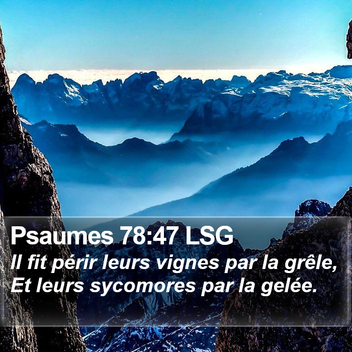 Psaumes 78:47 LSG Bible Study