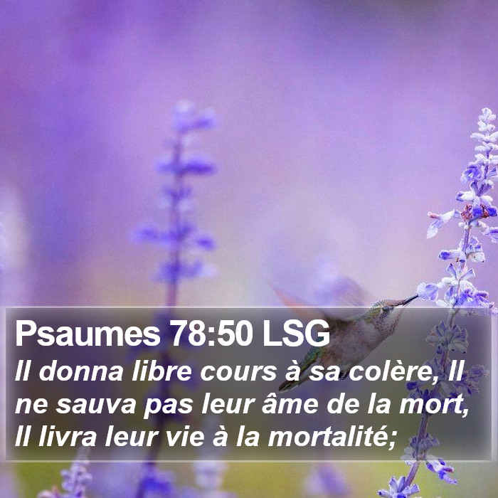 Psaumes 78:50 LSG Bible Study