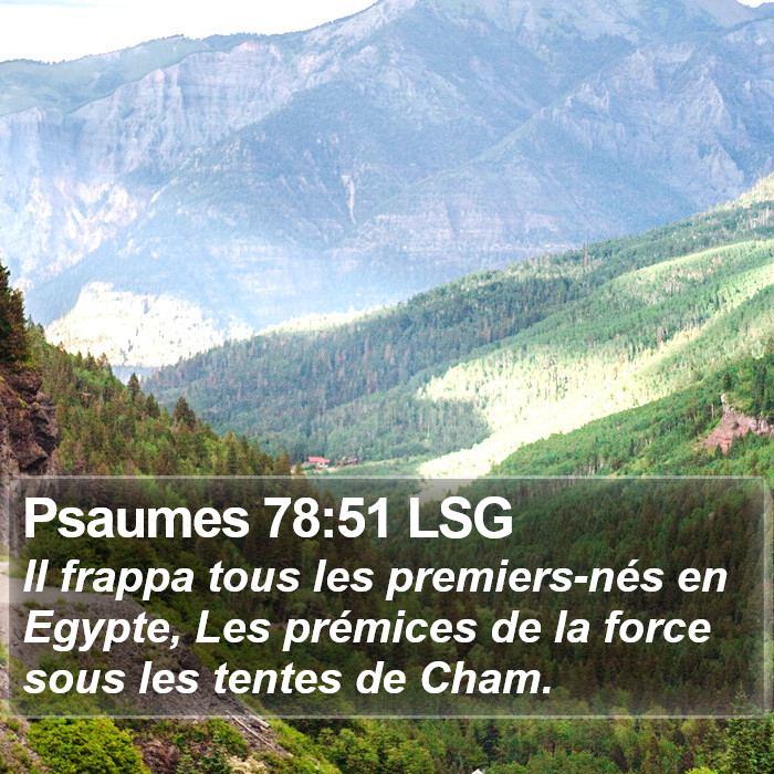 Psaumes 78:51 LSG Bible Study