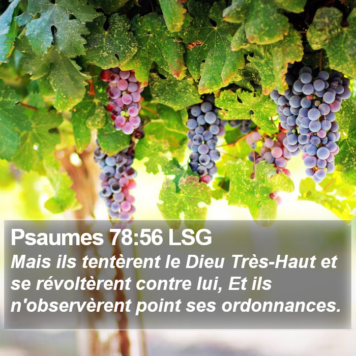 Psaumes 78:56 LSG Bible Study