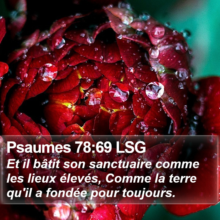 Psaumes 78:69 LSG Bible Study