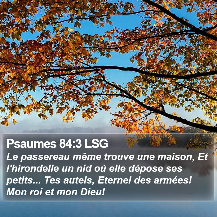 Psaumes 84:3 LSG Bible Study