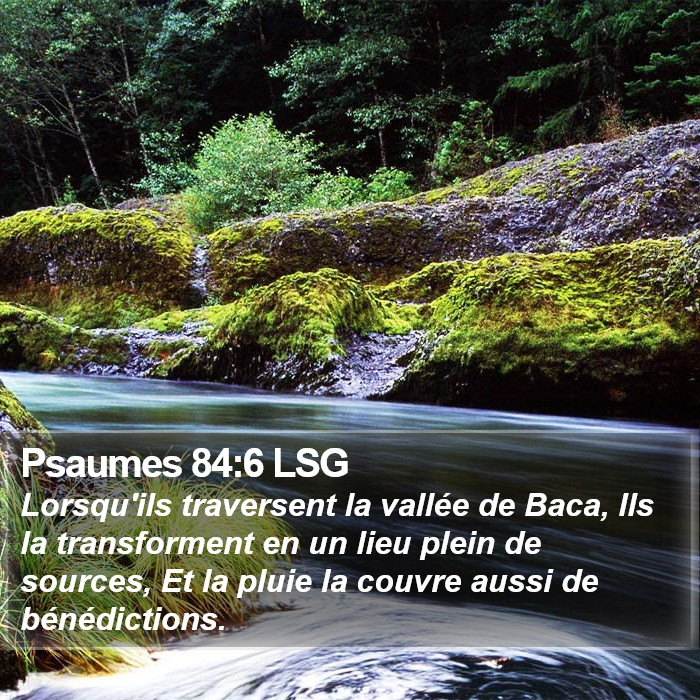 Psaumes 84:6 LSG Bible Study