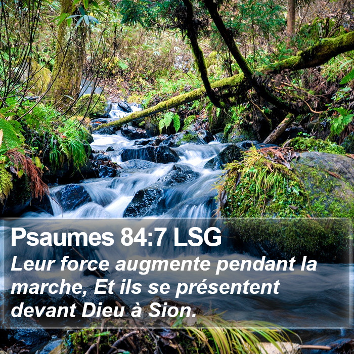 Psaumes 84:7 LSG Bible Study