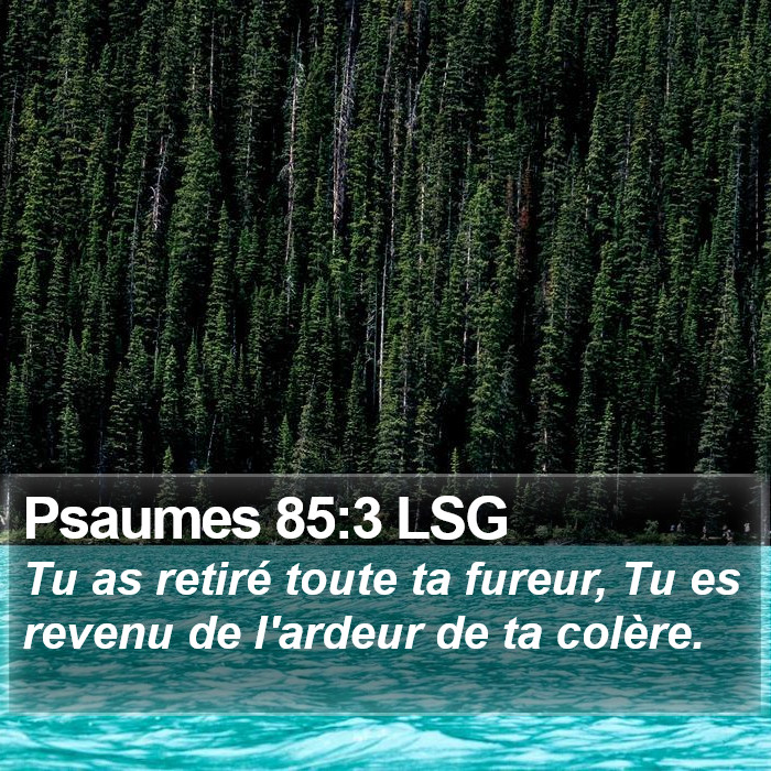 Psaumes 85:3 LSG Bible Study