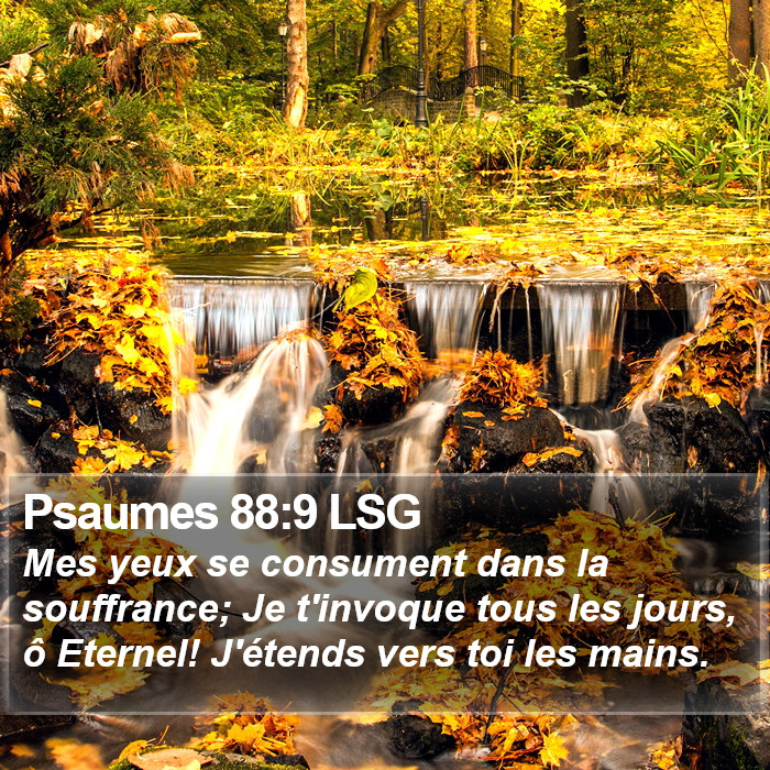 Psaumes 88:9 LSG Bible Study