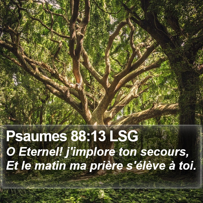 Psaumes 88:13 LSG Bible Study
