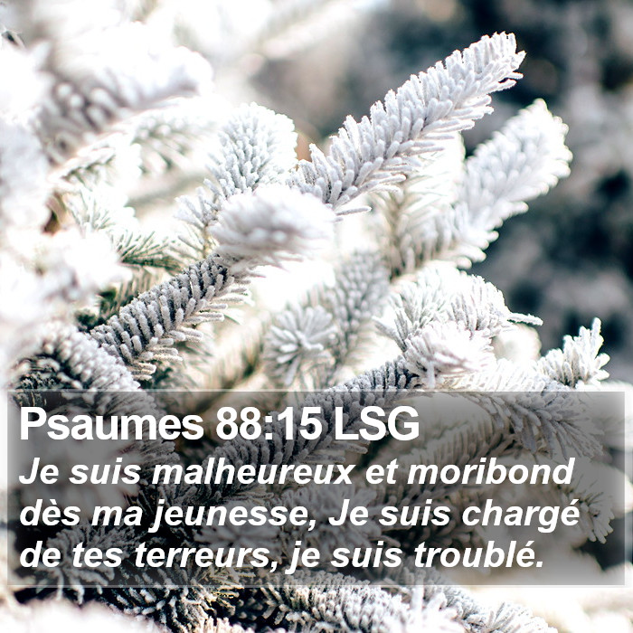 Psaumes 88:15 LSG Bible Study