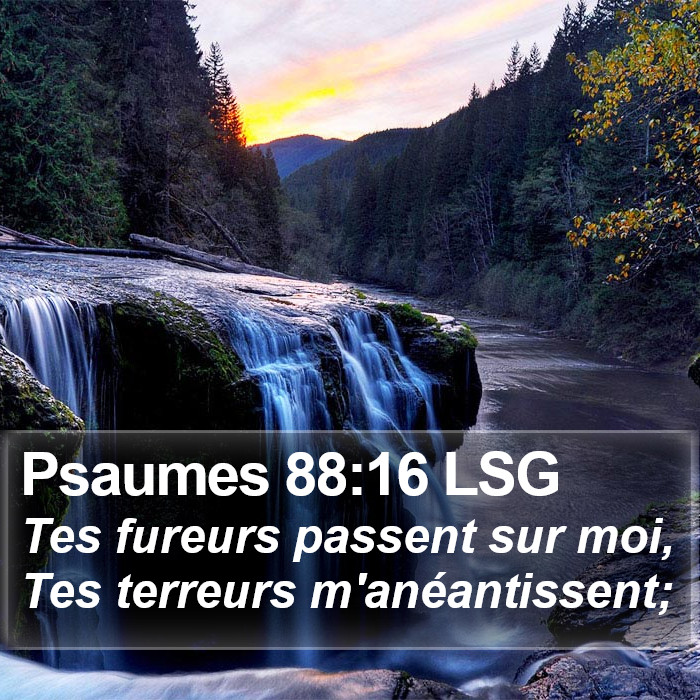 Psaumes 88:16 LSG Bible Study