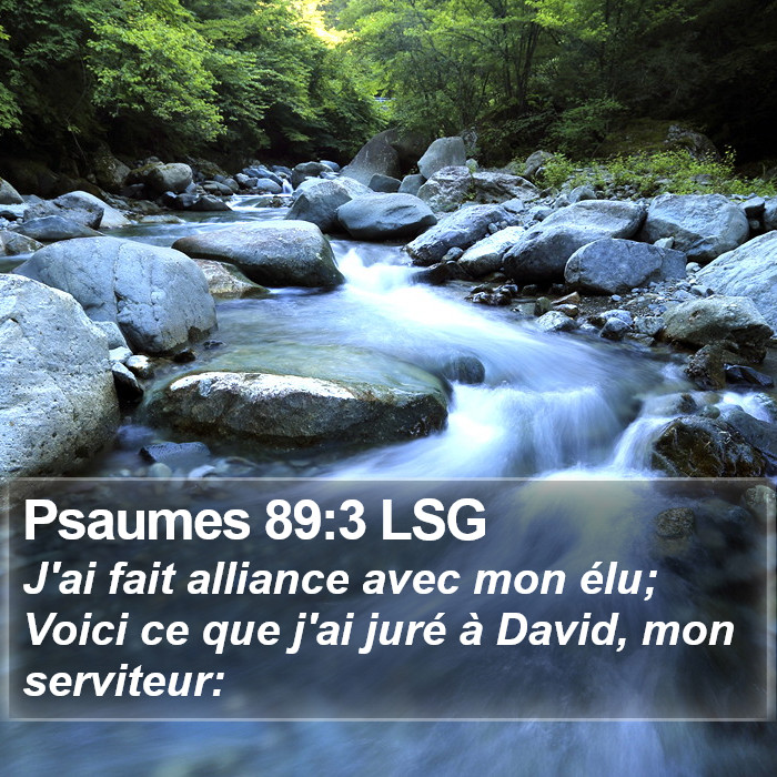 Psaumes 89:3 LSG Bible Study