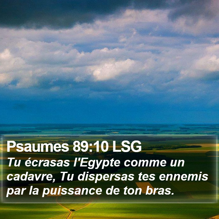 Psaumes 89:10 LSG Bible Study