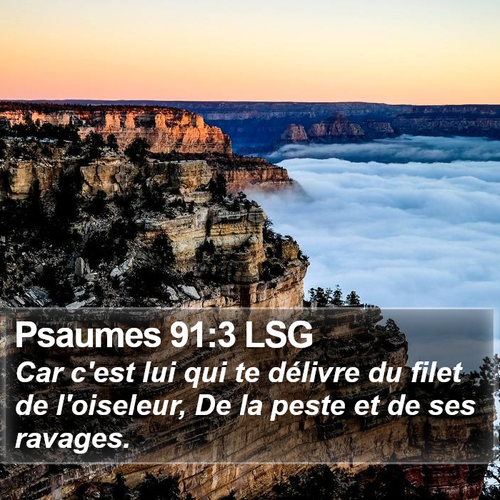 Psaumes 91:3 LSG Bible Study
