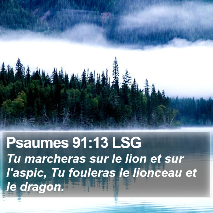 Psaumes 91:13 LSG Bible Study
