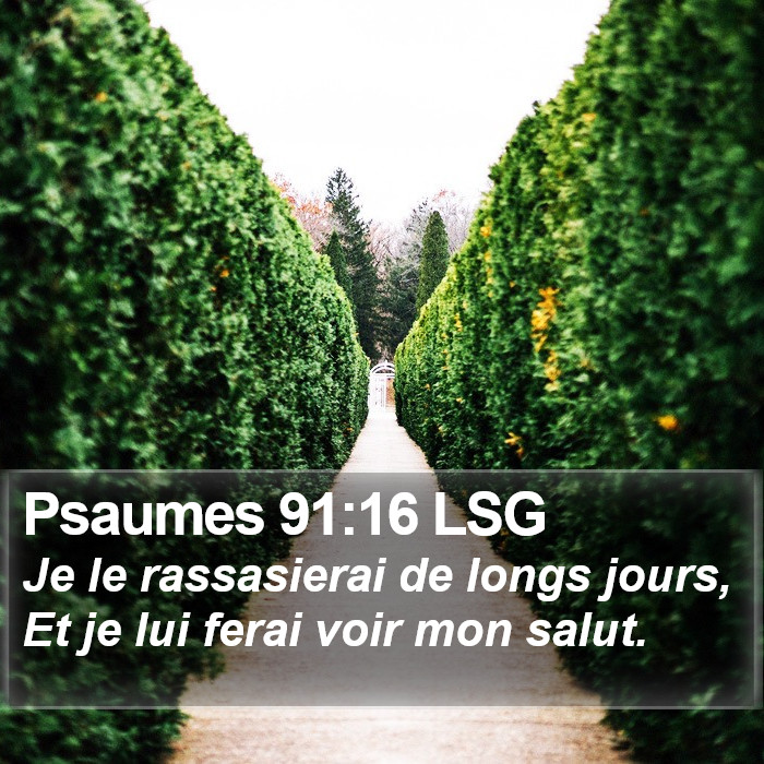 Psaumes 91:16 LSG Bible Study