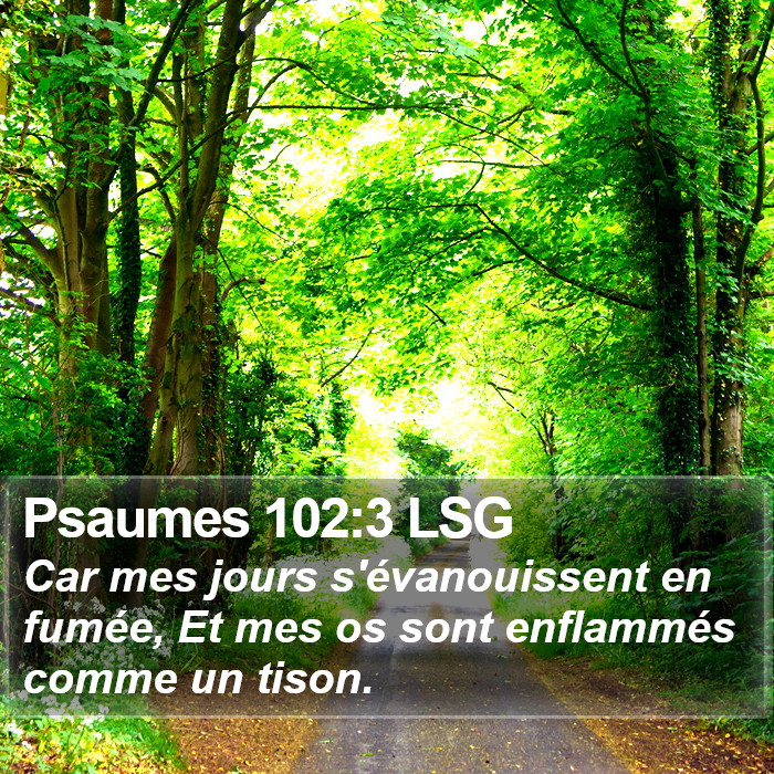 Psaumes 102:3 LSG Bible Study