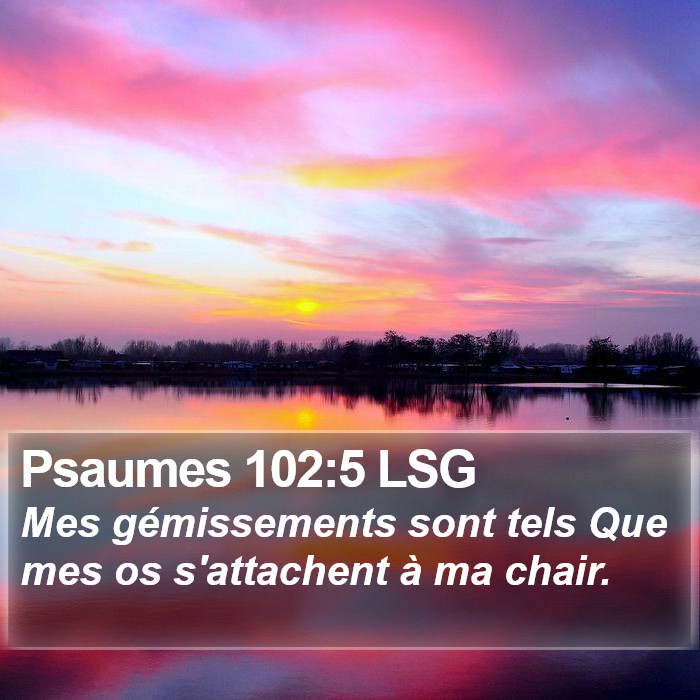Psaumes 102:5 LSG Bible Study