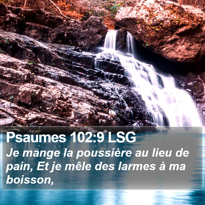 Psaumes 102:9 LSG Bible Study