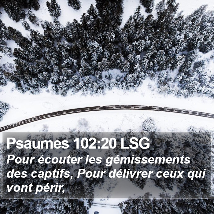 Psaumes 102:20 LSG Bible Study
