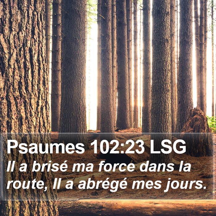 Psaumes 102:23 LSG Bible Study