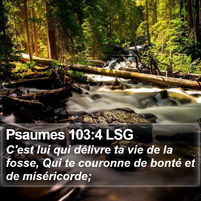 Psaumes 103:4 LSG Bible Study