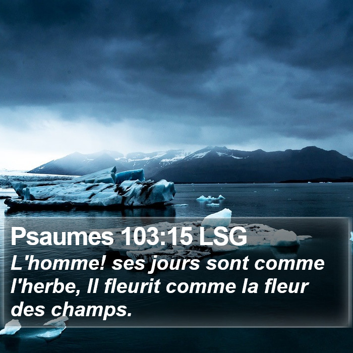 Psaumes 103:15 LSG Bible Study