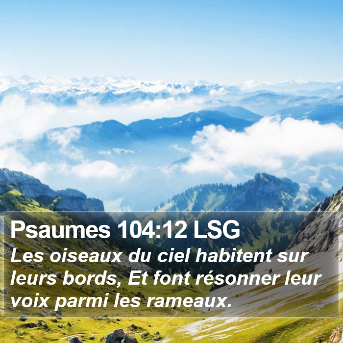 Psaumes 104:12 LSG Bible Study